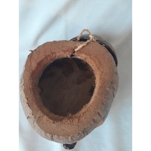 Hand carved Coconut pirate head piggy bank - Picture 3 of 5